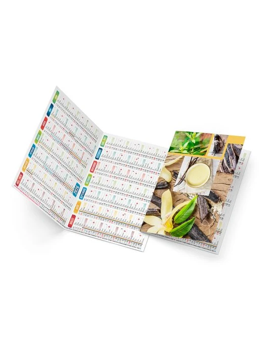 EMMA 2026 - NEUTRE 1 POSE