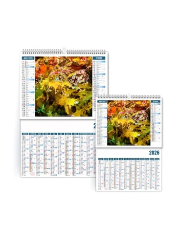 2EN1 - MIMETISME 2026 - XXL 474 x 700 mm - MARQUAGE 1 COULEUR