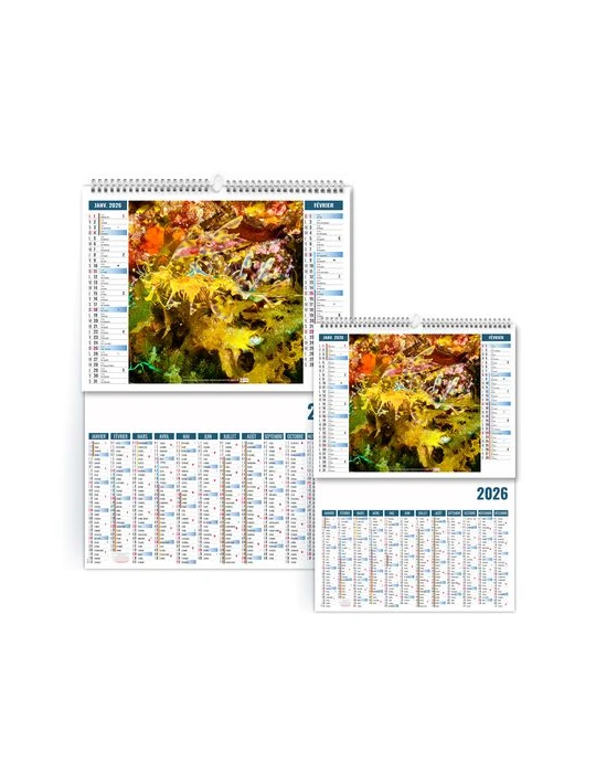 2EN1 - MIMETISME 2026 - XXL 474 x 700 mm - MARQUAGE 1 COULEUR