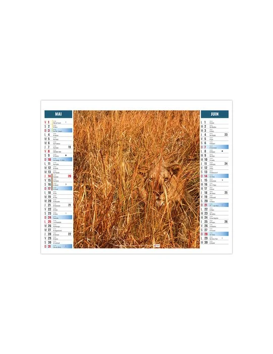 2EN1 - MIMETISME 2026 - XXL 474 x 700 mm - MARQUAGE 1 COULEUR