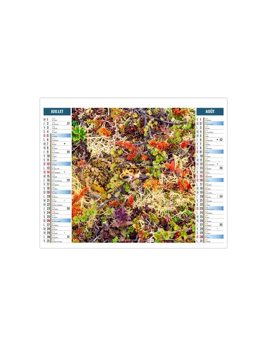 2EN1 - MIMETISME 2026 - XXL 474 x 700 mm - MARQUAGE 1 COULEUR