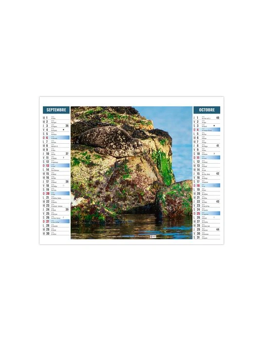 2EN1 - MIMETISME 2026 - XXL 474 x 700 mm - MARQUAGE 1 COULEUR