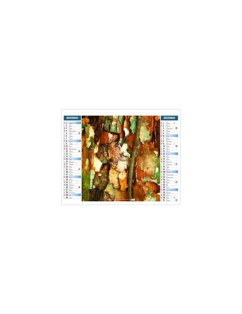 2EN1 - MIMETISME 2026 - XXL 474 x 700 mm - MARQUAGE 1 COULEUR