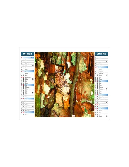 2EN1 - MIMETISME 2026 - XXL 474 x 700 mm - MARQUAGE 1 COULEUR