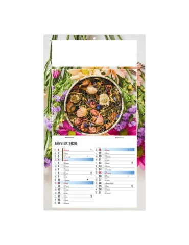 PLAQUE 1 VUE PHYTO 2026 - DOS CARTON - BLOC B2 - SANS MARQUAGE