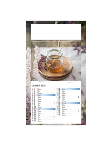 PLAQUE 1 VUE PHYTO 2026 - DOS CARTON - BLOC B2 - SANS MARQUAGE 2