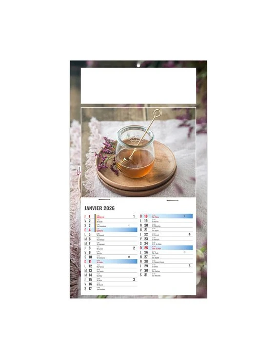 PLAQUE 1 VUE PHYTO 2026 - DOS CARTON - BLOC B2 - SANS MARQUAGE