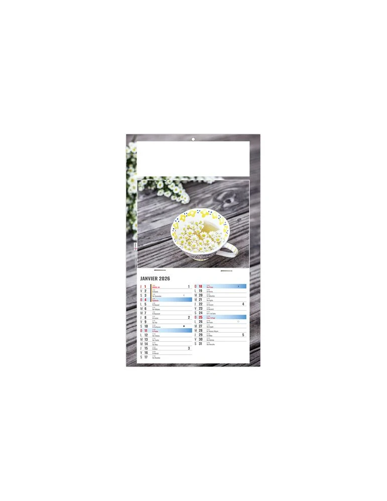 PLAQUE 1 VUE PHYTO 2026 - DOS CARTON - BLOC B2 - SANS MARQUAGE