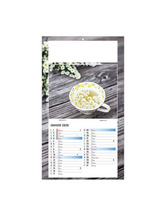 PLAQUE 1 VUE PHYTO 2026 - DOS CARTON - BLOC B2 - SANS MARQUAGE