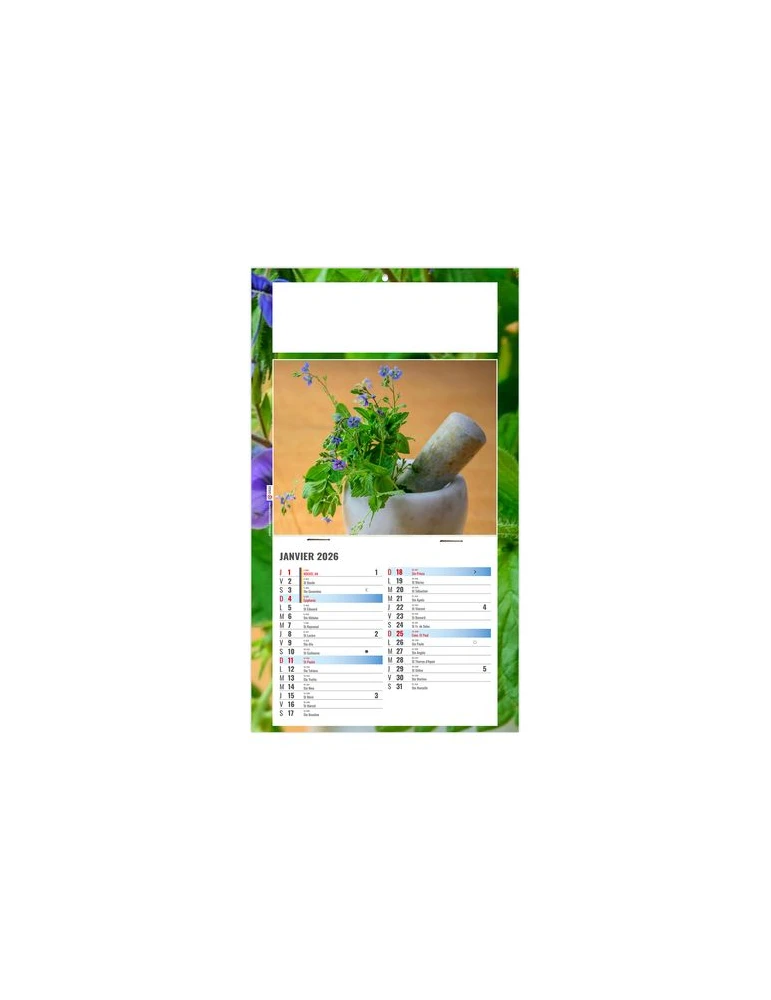PLAQUE 1 VUE PHYTO 2026 - DOS CARTON - BLOC B2 - SANS MARQUAGE