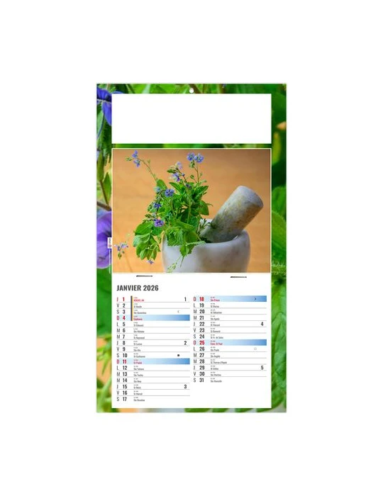 PLAQUE 1 VUE PHYTO 2026 - DOS CARTON - BLOC B2 - SANS MARQUAGE