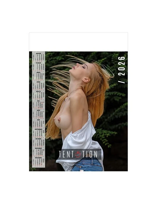 POSTER - SENTIMENTS 2026 - QUADRI