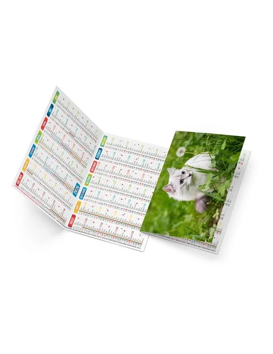 FELIX 2026 - NEUTRE 1 POSE cadeau entreprise pas cher