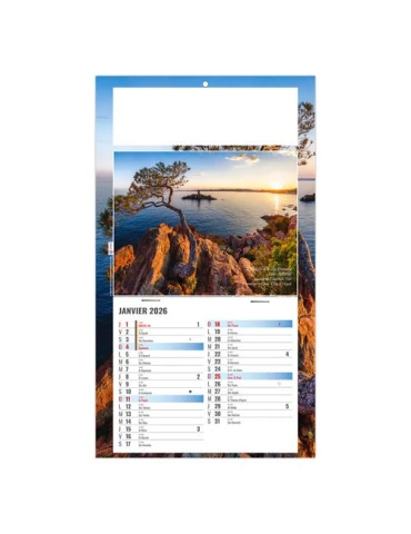PLAQUE 1 VUE ALAIN 2026 - DOS CARTON - BLOC B2 - SANS MARQUAGE