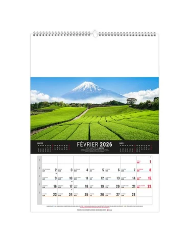 MURAL 12F - MONDE 2026 - QUADRI 2