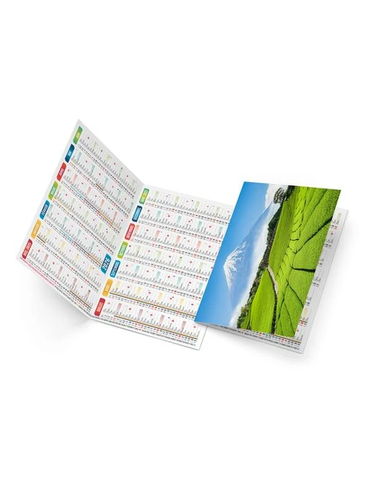 ROBERTO 2026 - NEUTRE 1 POSE