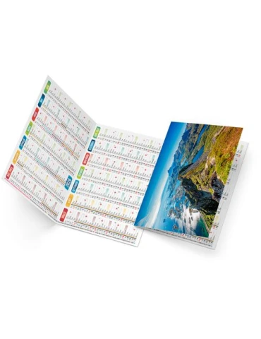 ROBERTO 2026 - NEUTRE 1 POSE 2