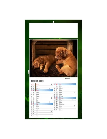 PLAQUE 1 VUE REX 2026 - DOS CARTON - BLOC B2 - SANS MARQUAGE