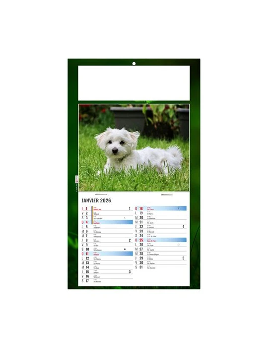 PLAQUE 1 VUE REX 2026 - DOS CARTON - BLOC B2 - SANS MARQUAGE