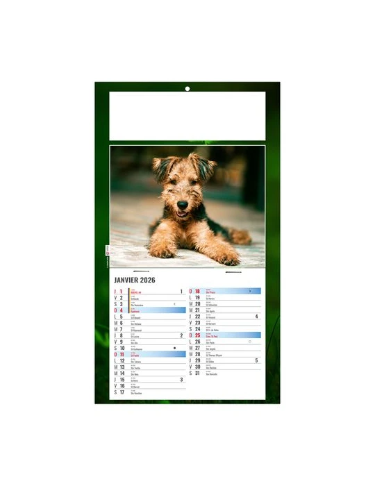 PLAQUE 1 VUE REX 2026 - DOS CARTON - BLOC B2 - SANS MARQUAGE