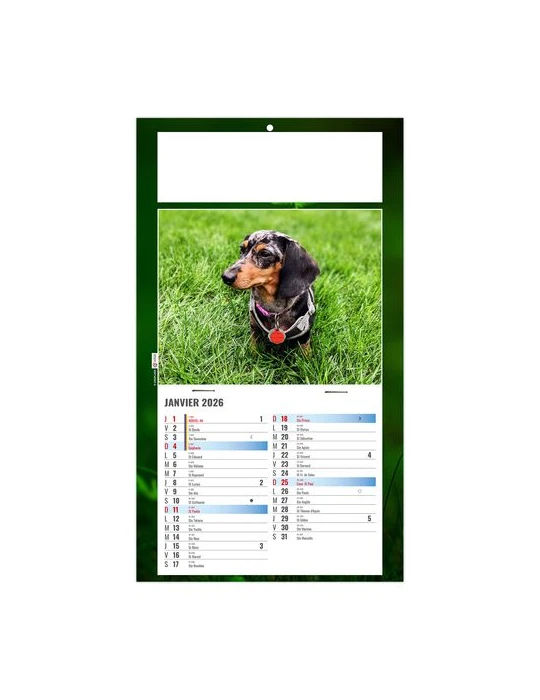 PLAQUE 1 VUE REX 2026 - DOS CARTON - BLOC B2 - SANS MARQUAGE