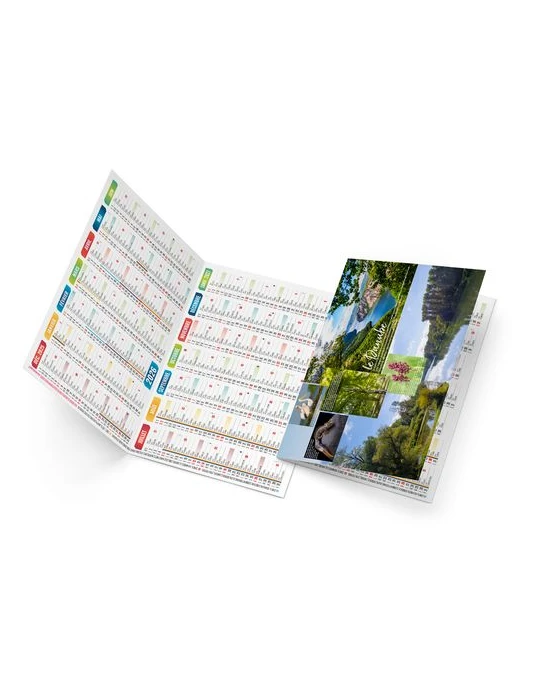 BAPTISTE 2026 - NEUTRE 1 POSE