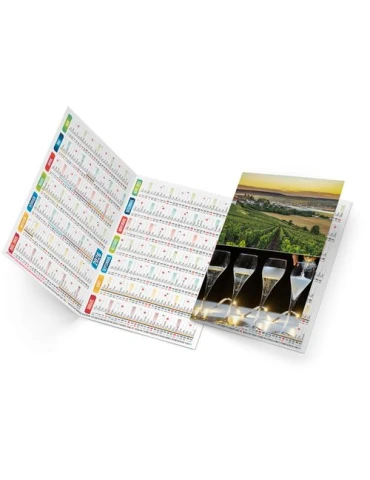 ARTHUR 2026 - NEUTRE 1 POSE