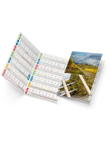 ARTHUR 2026 - NEUTRE 1 POSE 2