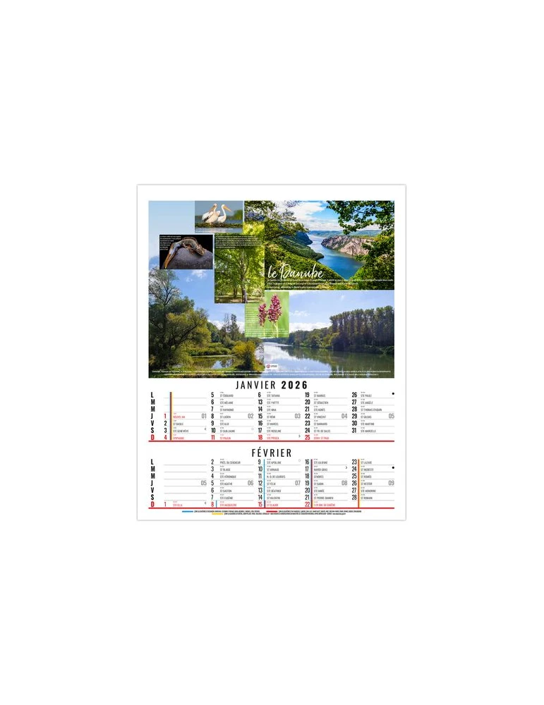 THEO 2026 - 6 FEUILLETS - BLOC SEUL SANS MARQUAGE