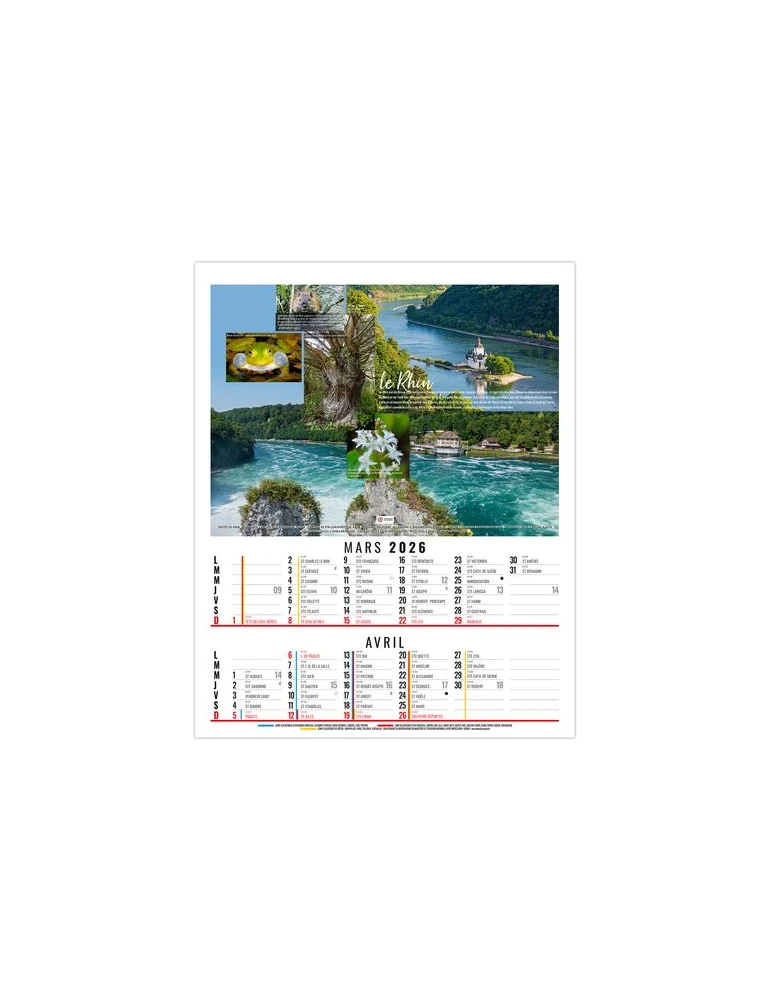 THEO 2026 - 6 FEUILLETS - BLOC SEUL SANS MARQUAGE