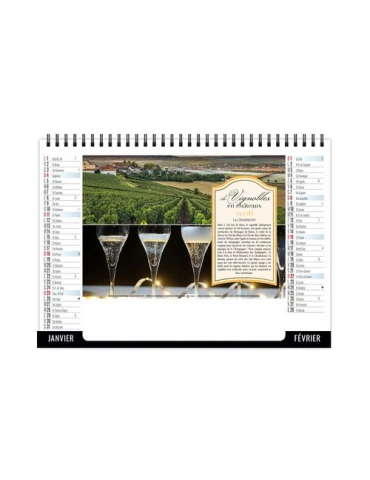 CHEVALET STANDARD 7F - VENDANGE 2026 - QUADRI 2