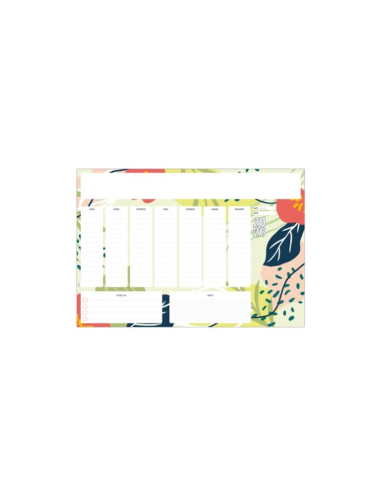 SM ORGANISER 2026 - SM 500 x 350 mm - 25 FEUILLETS