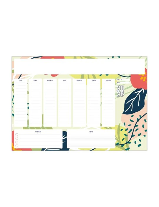 SM ORGANISER 2026 - SM 500 x 350 mm - 25 FEUILLETS