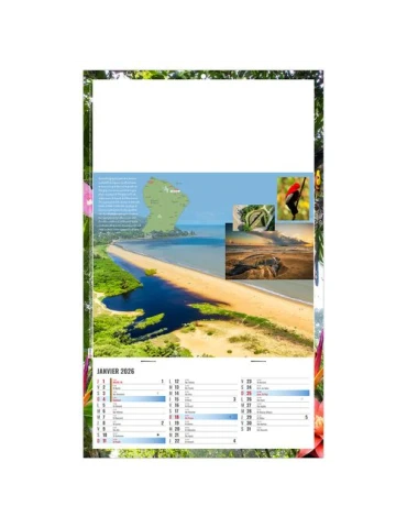 PLAQUE 1 VUE NOE 2026 - DOS CARTON ET BLOC B1 - SANS MARQUAGE 2