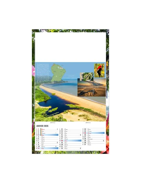 PLAQUE 1 VUE NOE 2026 - DOS CARTON ET BLOC B1 - SANS MARQUAGE