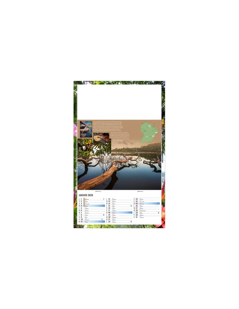 PLAQUE 1 VUE NOE 2026 - DOS CARTON ET BLOC B1 - SANS MARQUAGE