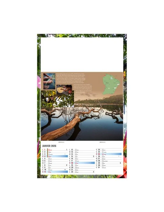 PLAQUE 1 VUE NOE 2026 - DOS CARTON ET BLOC B1 - SANS MARQUAGE