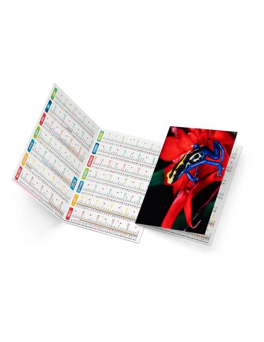 ELLA 2026 - NEUTRE 1 POSE goodies publicitaire événementiel