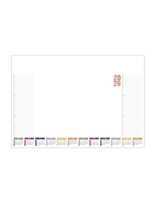 SM STENO 2026 - SM 600 x 420 mm - 25 FEUILLETS