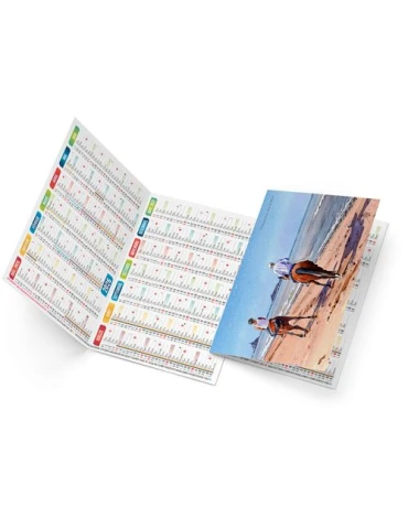 MARCO 2026 - NEUTRE 1 POSE