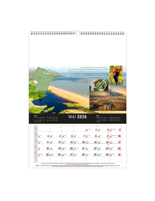 MURAL 12F - CAMOPI 2026 - QUADRI impression haute définition