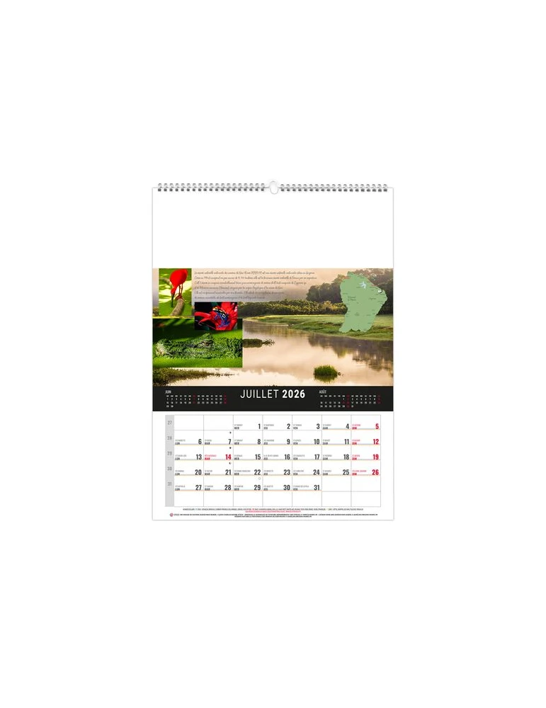 MURAL 12F - CAMOPI 2026 - QUADRI livraison express 24h 48h