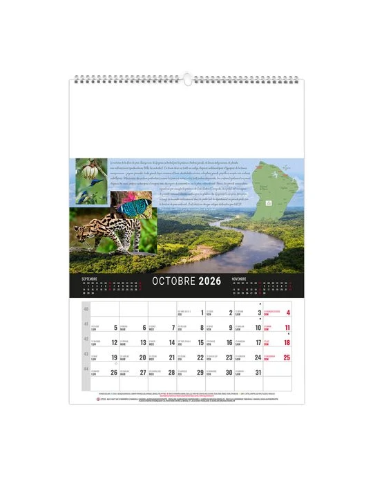 MURAL 12F - CAMOPI 2026 - QUADRI personnalisation rapide en France