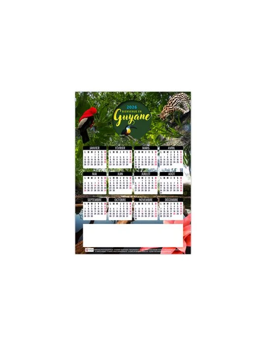 MAG ILE 2026 - MINI MAGNET 140 x 140 mm - QUADRI cadeau entreprise pas cher