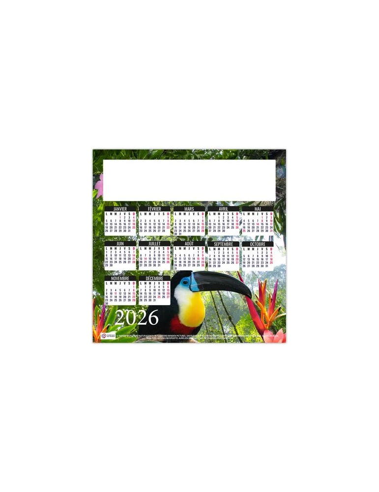 MAG ILE 2026 - MINI MAGNET 140 x 140 mm - QUADRI impression haute définition