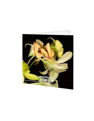 CARTE DE VOEUX - INVISIBLE 2026  AVEC ENVELOPPE - SANS MARQUAGE