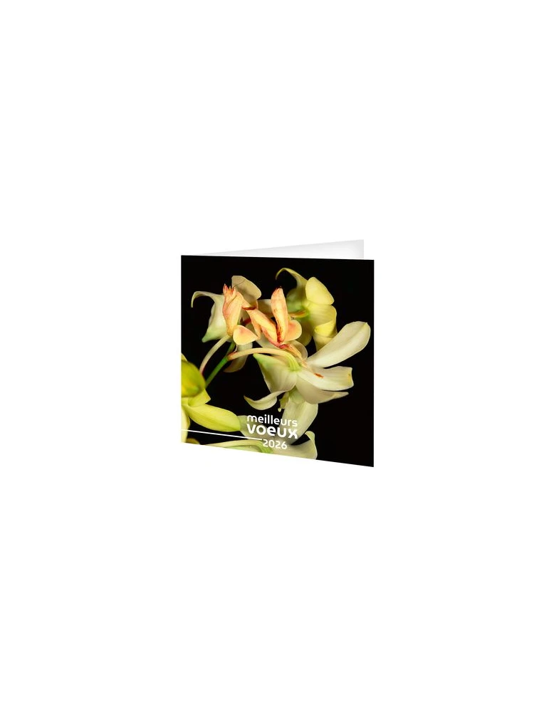 CARTE DE VOEUX - INVISIBLE 2026  AVEC ENVELOPPE - SANS MARQUAGE