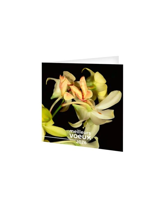CARTE DE VOEUX - INVISIBLE 2026  AVEC ENVELOPPE - SANS MARQUAGE