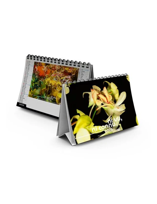 CHEVALET STANDARD 7F - CAMOUFLAGE 2026 - QUADRI