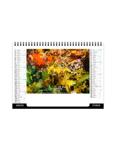 CHEVALET STANDARD 7F - CAMOUFLAGE 2026 - QUADRI 2